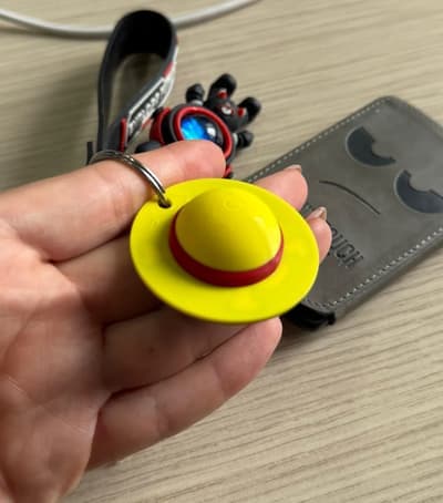 Luffy's Hat - One Piece